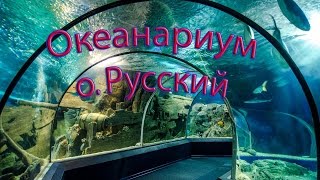 Океанариум на о.  Русский  - уникальные бассейны с аквакультурой/ Лучше смотреть  вживую,.