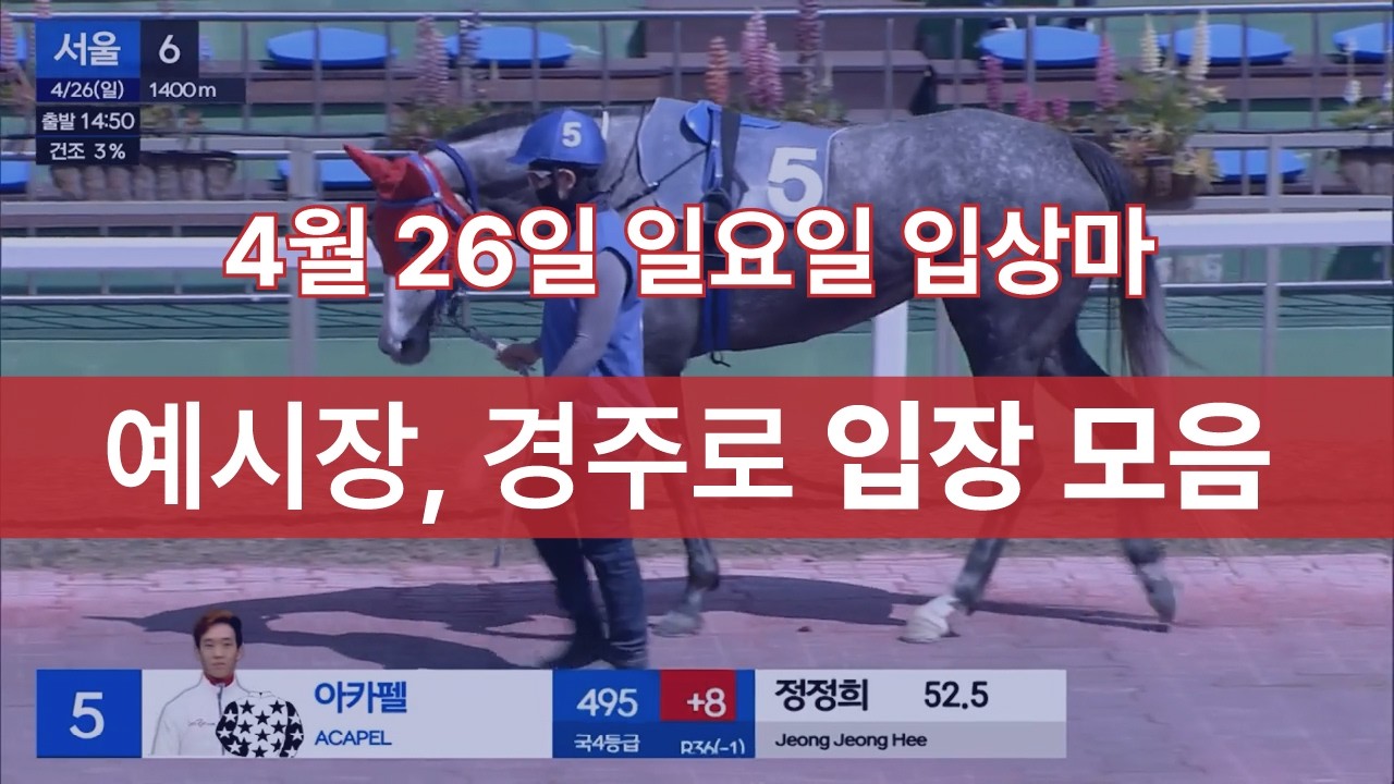 [4월 26일 일요일 입상마] 예시장, 경주로 입장 모음