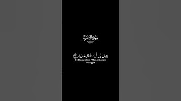 ولا تخزني يوم يبعثون .. كرومات القرآن الكريم ... آيات القرآن الكريم.