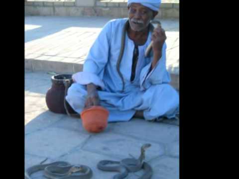 واه يا عبد الودود احمد فواد نجم احمد سعد