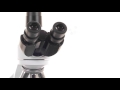 Euromex iscope trinocular microscope  a masterpiece in microscopy