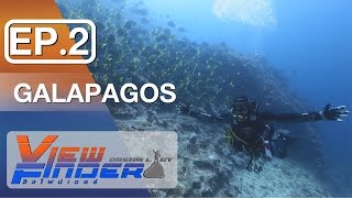 (Coryright) Viewfinder Dreamlist l Galapagos มหัศจรรย์ แห่งท้องทะเล Ep.2/4