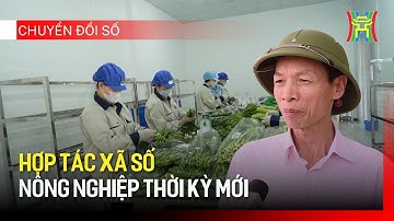 HTX số - Nông nghiệp thời kỳ mới | Chuyển đổi số
