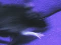 Luna Sanguis Chunky Rat Soup 