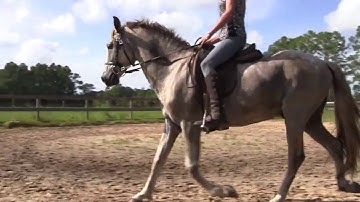 Transitions and varying the rhythm within the gait.