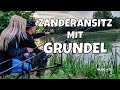 Ansitz Angeln auf Zander mit Grundel als Köderfisch am Mittellandkanal Hannover | Vlog #76