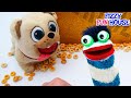 Fizzy And Phoebe Help Puppy Dog Pals Morning Routine | Fun Videos For Kids