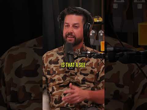 Is honesty the best policy?