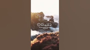 سورة العاديات ☘️✨