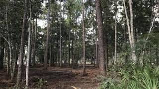0000 Fish Trap Road, Elberta Alabama