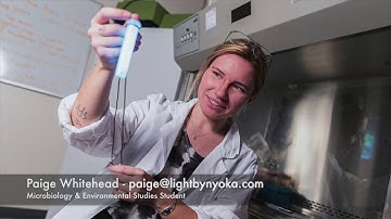 Library Makerspaces: Outreach and Programming for the Whole Campus