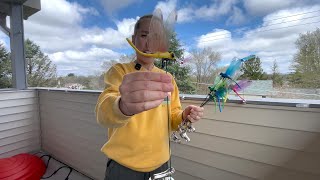 Dragonfly Clips on Our Deck to Deter Bees Honest Review