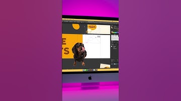 Carousel Design for Doxie Treats 🐶🦴 #brand  #graphicdesign #branding  #dog #dogtreats #pets