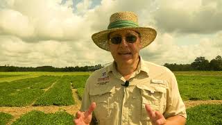 2023 Georgia Peanut Tour - David Bertioli