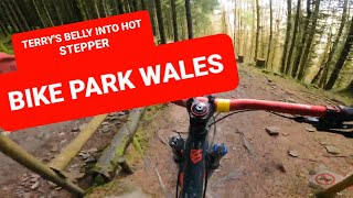 BIKE PARK WALES TERRY'S BELLY INTO HOT STEPPER