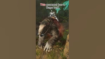 How to FARM Chitin in ARK : Survival Ascended ?