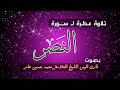 تلاوة خاشعة لسورة النصر لفضيلة الشيخ العلامة محمد حسين عامر