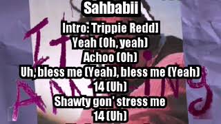 Trippie Redd - Amazinggg ft Sahbabii (lyrics video ) Wealth