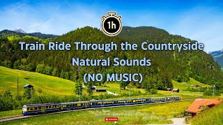 1 Hour | Train Ride Through the Countryside | NO MUSIC