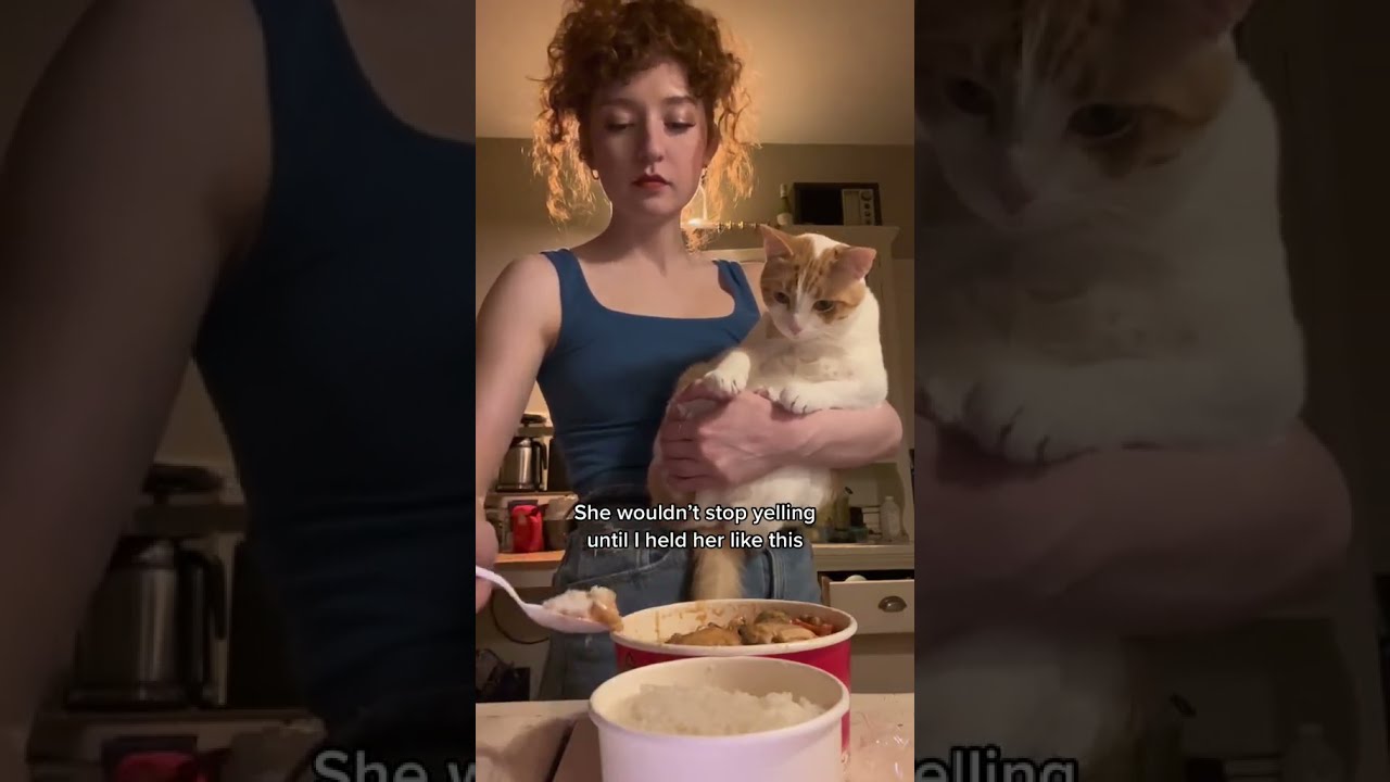 The Most Spoiled Cat Ever 