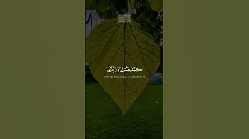 {أَفَلَمۡ یَنظُرُوۤا۟ إِلَى ٱلسَّمَاۤءِ فَوۡقَهُمۡ كَیۡفَ} | عبد الباسط عبد الصمد | سورة ق.