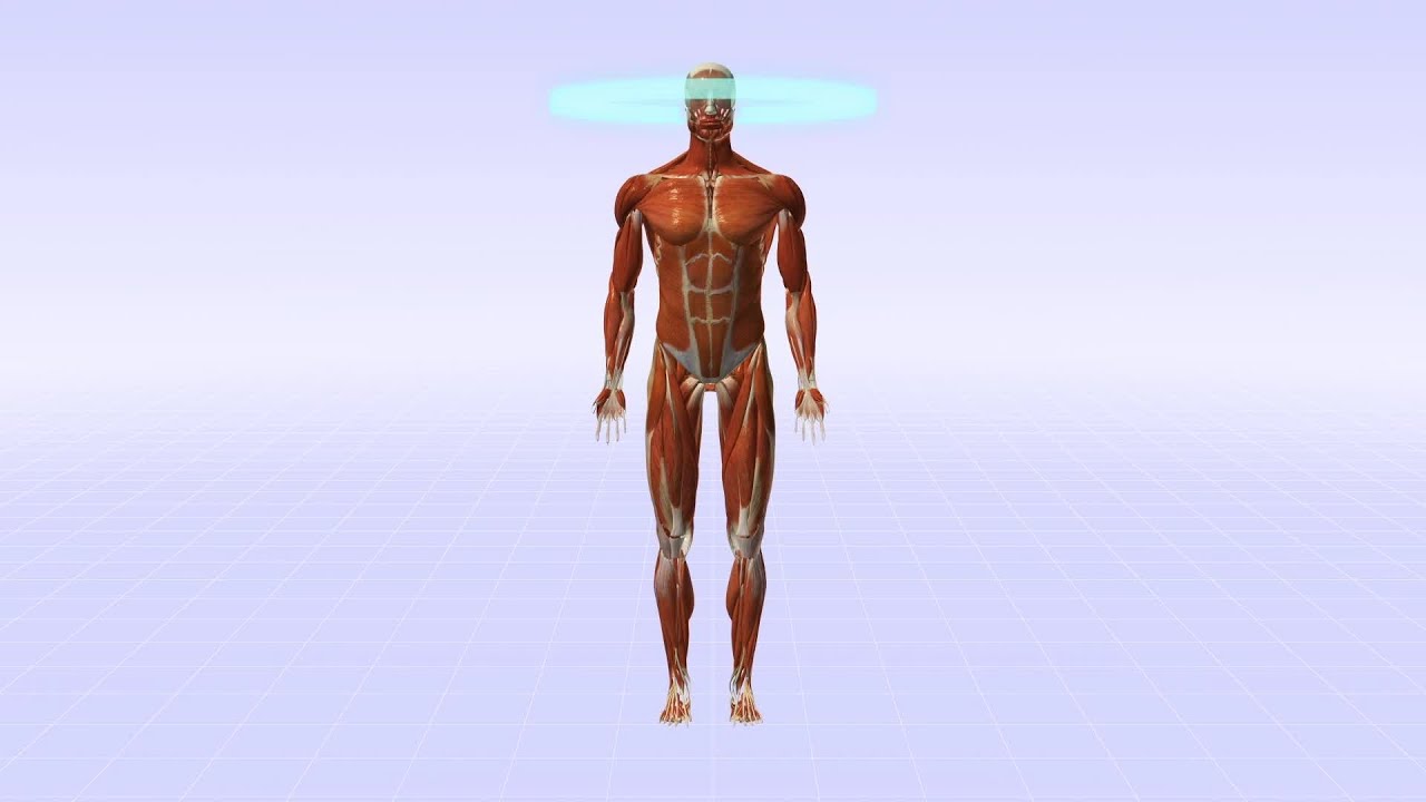 Genes can help indicate time of death