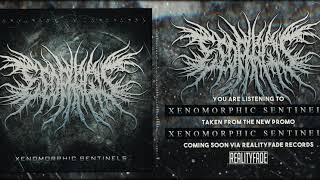 ESOPHAGUS 'Xenomorphic Sentinels' (NEW TRACK) | REALITYFADE