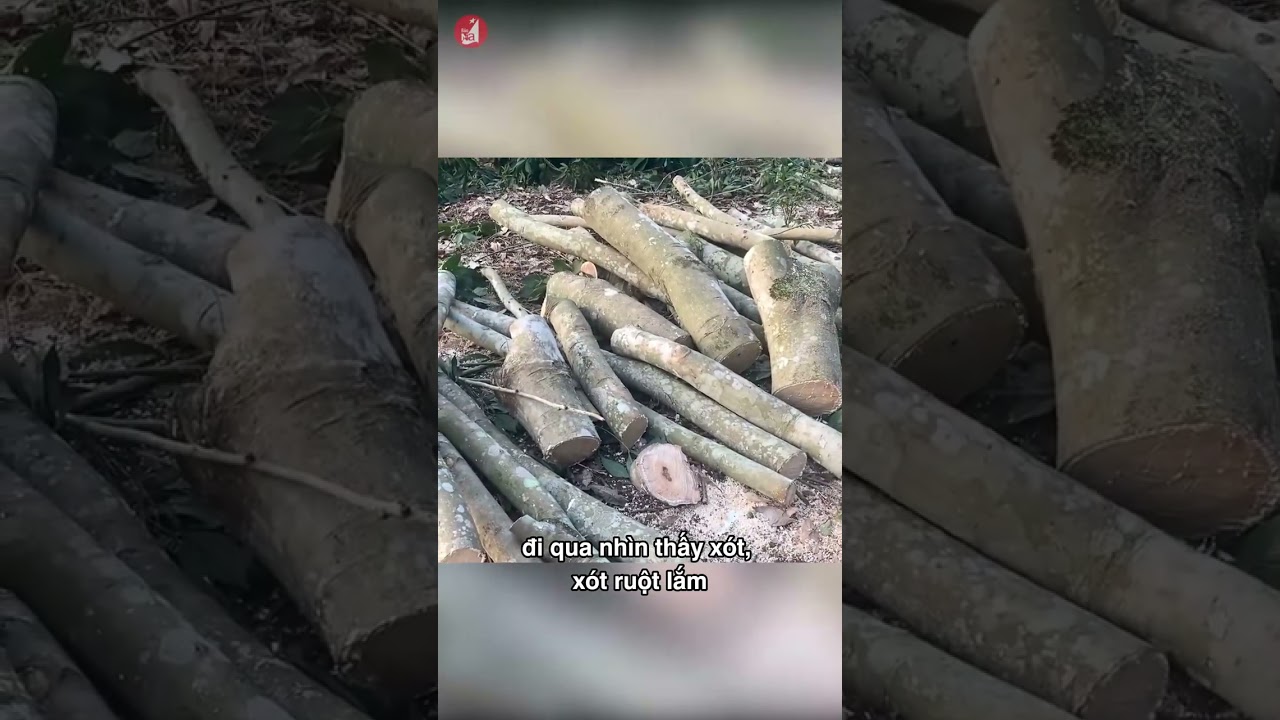 (LẠI) CÂU CHUYỆN CHẠY THEO PHONG TRÀO TRONG NÔNG NGHIỆP