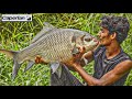 Caught two big carp with CAPERLAN hooks |പമ്പയാറ്റിലെ കൊമ്പന്മാരെ കണ്ടിട്ടുണ്ടോ ?