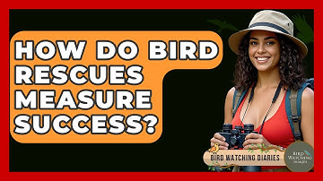 How Do Bird Rescues Measure Success? - Bird Watching Diaries