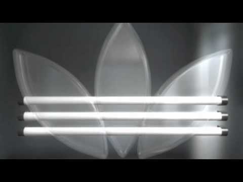 Bolt Upright — Bolt Upright - Longevity