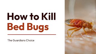 STEP #2: KILL BED BUGS IN YOUR PERSONAL BELONGINGS