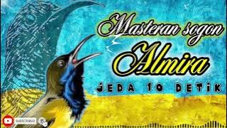 MASTERAN SOGON ALMIRA jeda 10 detik!!!! #sogon #sogongacor #sogokontong #sogokontonggacor