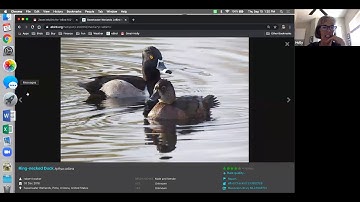 eBird 102: Find the Birds You Want to See