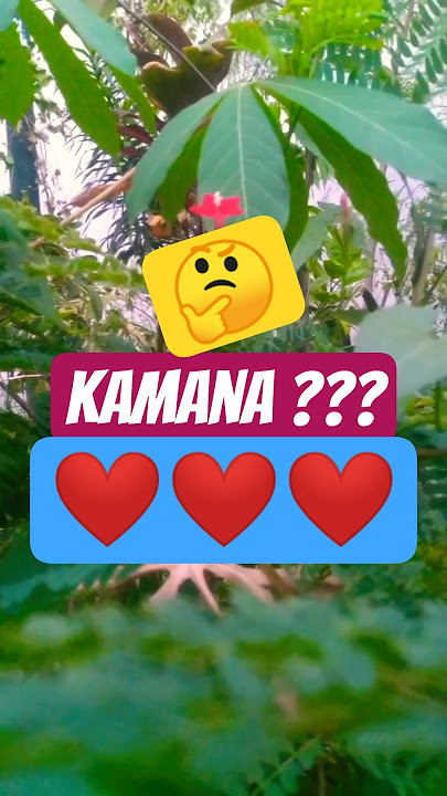 Lagu Sunda Kamana Cintana #lagusunda #cover #musiktradisional
