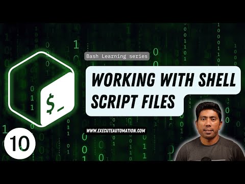 #10 - Working with Shell Script file (sh) in Bash