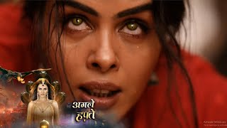 Naggin 7 New Promo 11 January 2026