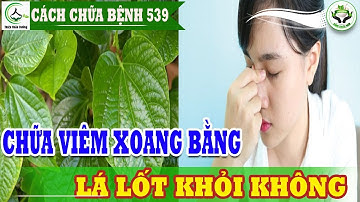 Chữa viêm xoang bằng lá lốt có khỏi không cách chữa trị viêm xoang 100% hiệu quả