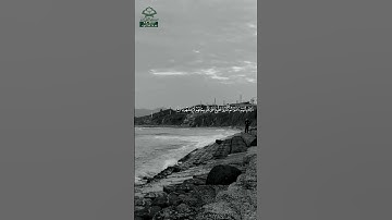سورة المنافقون • مدنية • بصوت ناصر القطامي | عدد الآيات: 11 #قرآن #Quran #تلاوة #قرآن_كريم