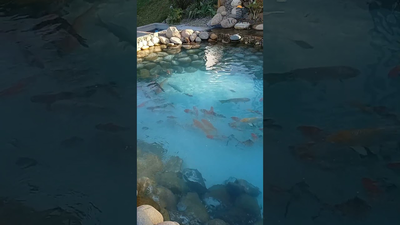 A Natureza faz sua parte na Piscina Natural!