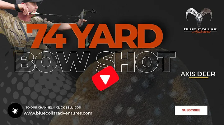 🏹 Witness the Unbelievable: 74-Yard Bow Shot on Axis Deer!