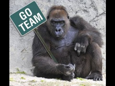 Affordable Seo Services | Online Services : Google Help