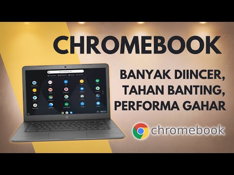 Pilih Chromebook? Siapa Takut! | Rekomendasi Chromebook Terbaik di Pasaran