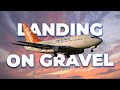 How Some Boeing 737s Are Equipped To Land On Gravel