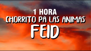 [1 HORA] Feid - Chorrito Pa Las Animas (Letra/Lyrics)