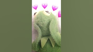 Kermit is my husband (real) #shorts #fyp