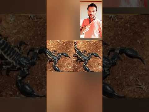 اسوء انواع الادمان