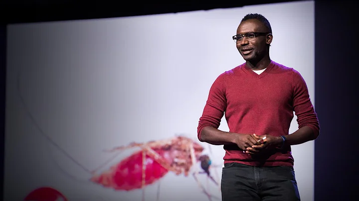 Why I study the most dangerous animal on earth -- mosquitoes | Fredros Okumu - DayDayNews