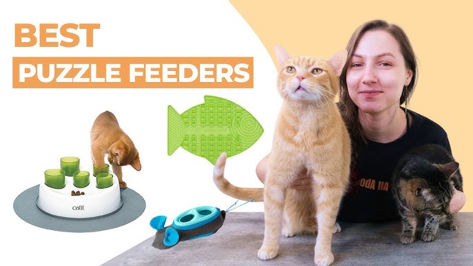 The Best Food Puzzles for Cats (And Why They're Important) - PetHelpful