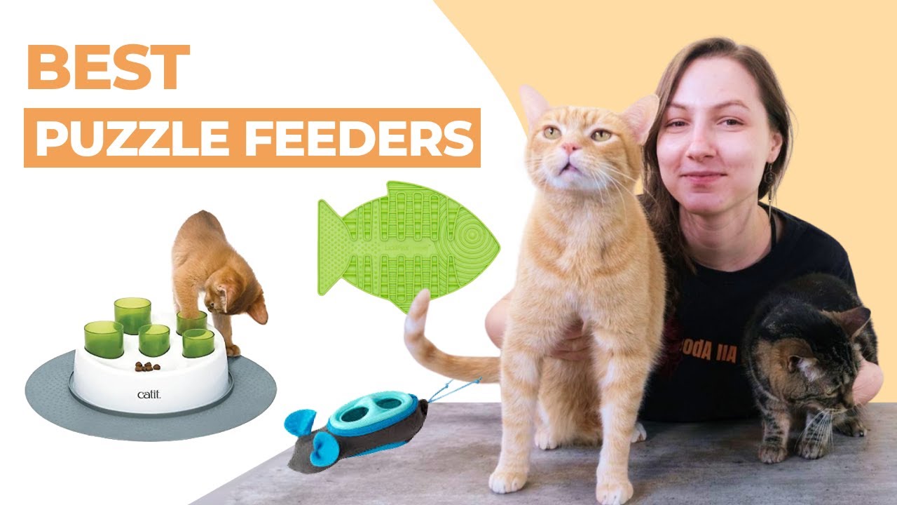  ALL FOR PAWS Interactive Cat Puzzle Feeder, Mental Stimulation  Cat Maze Toy Slow Feeding Treat Dispenser for Indoor Cats : Pet Supplies